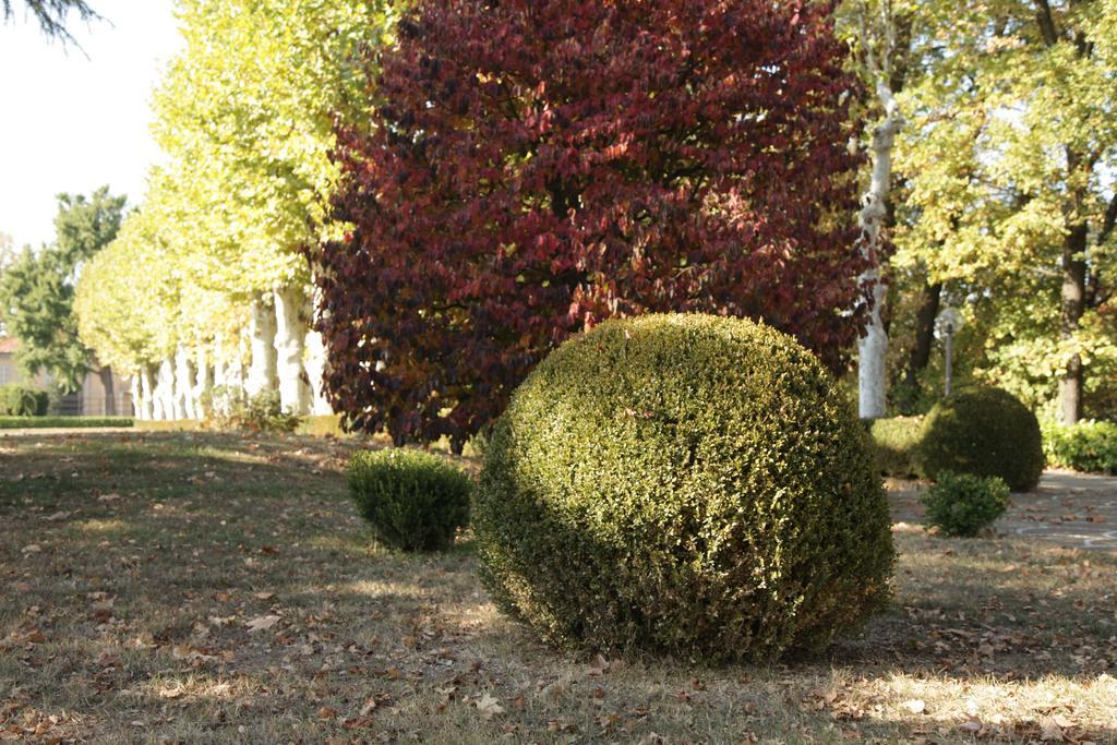 Bricco Pogliani Castell'Alfero Bagian luar foto